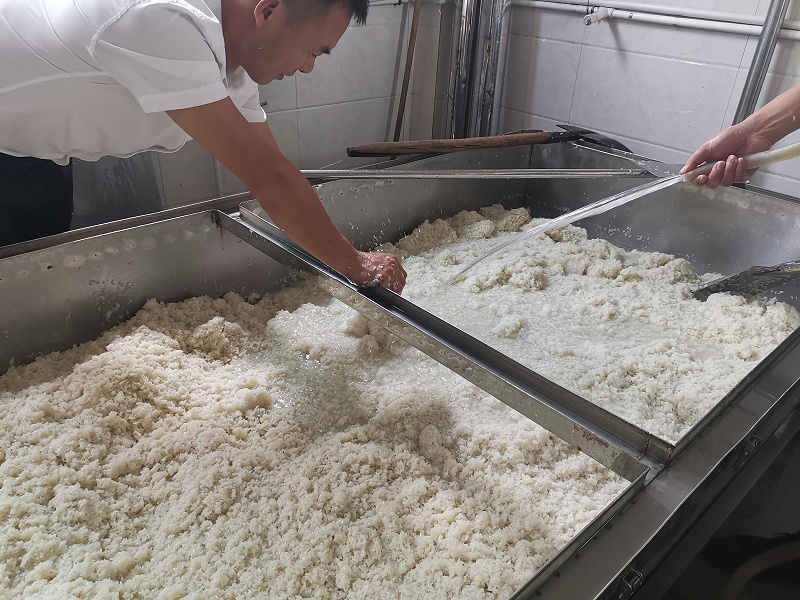 4蒸煮完成，開始淋飯2