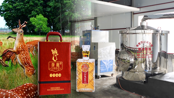 用大型釀酒設(shè)備釀鹿茸酒，走出黑龍江生態(tài)旅游發(fā)展特色之路！