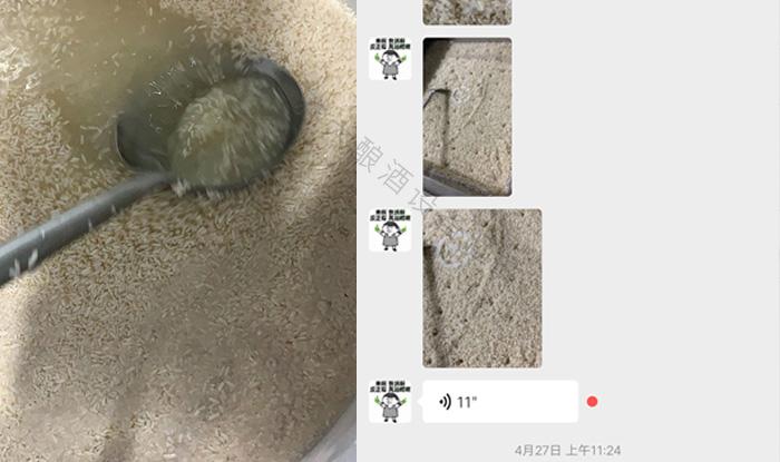 受疫情影響不讓養(yǎng)蛇，用電加熱釀酒設(shè)備做酒迎來新未來！ 3