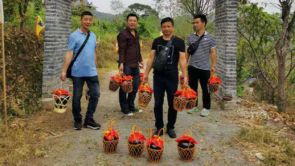 引進(jìn)小型酒廠釀酒設(shè)備升級(jí)老酒坊，武功山黑糯米酒坊變身“釀酒農(nóng)莊”