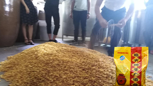 40年老師傅用糧食釀酒設(shè)備做酒有訣竅，蒸餾蒸糧一步到位！