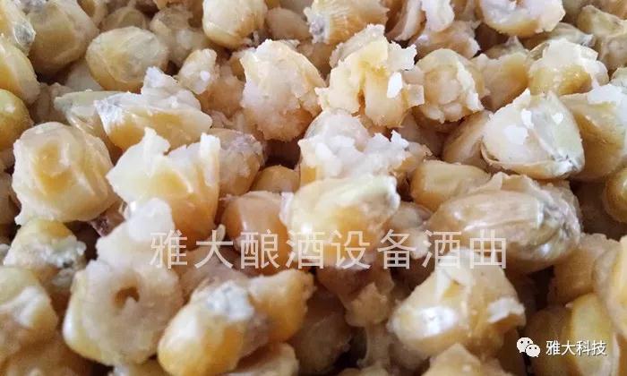 白酒釀酒設備蒸酒時避免開大花