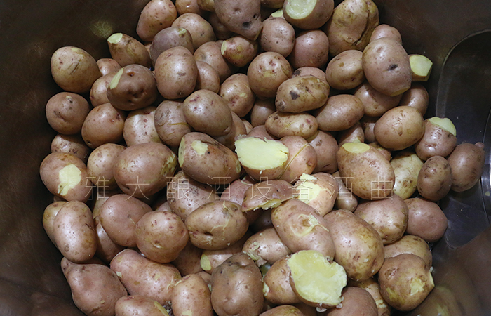 土豆蒸熟，打開(kāi)料桶蓋