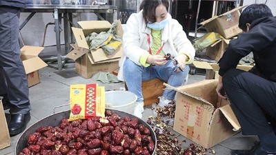 “五一”假期出游新風(fēng)向，自駕車來大型釀酒設(shè)備廠家實操釀紅棗酒