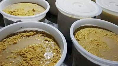 玉米熟料液態(tài)酒怎么做？小型酒廠釀酒設(shè)備玉米液態(tài)釀酒技術(shù)