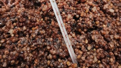 用燒酒設(shè)備在家開個酒坊，嚴把質(zhì)量關(guān)才是核心！