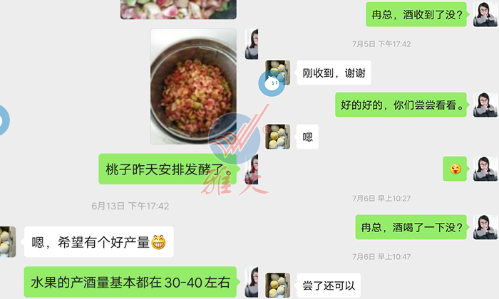 10.28雅大幫忙研發(fā)的黃桃酒，冉總品嘗后很滿意
