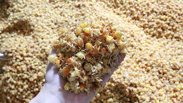 驚！夏季用白酒蒸餾設(shè)備做固態(tài)酒時(shí)加入輔料作用這么大！