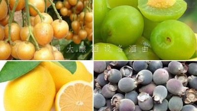 藏在果園里的果酒釀酒設(shè)備酒坊，生意卻依然火爆！