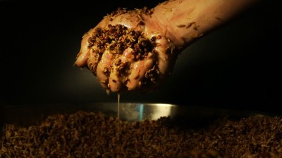 傳統(tǒng)老酒坊得不到傳承怎么辦？試試這款小型酒廠釀酒設(shè)備